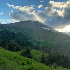 Meet your Posher, Caitlin